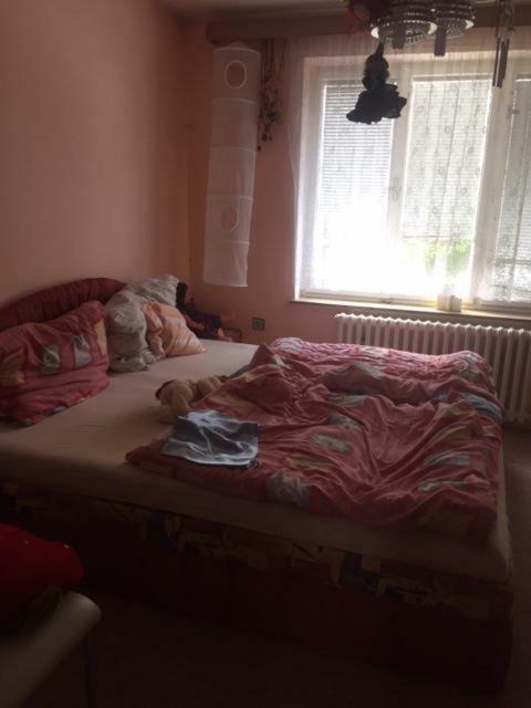 Apartament Dolni Bukovsko Ngoại thất bức ảnh